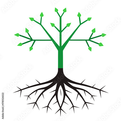 tree with roots