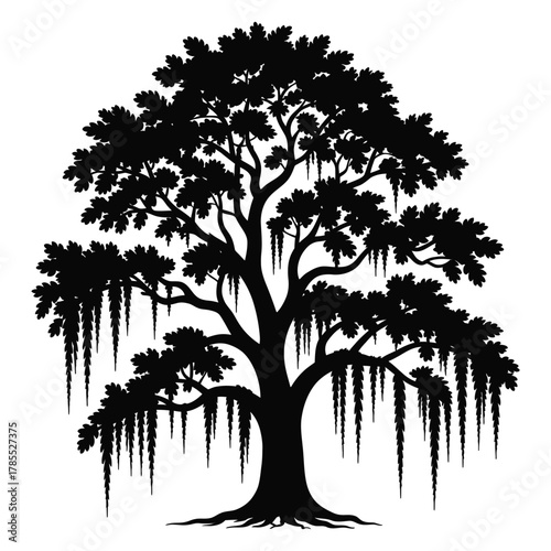Majestic oak tree silhouette with Spanish moss, sprawling branches, isolated on white, natural outdoor scene illustration for landscape, botanical, and southern nature-inspired graphic design.