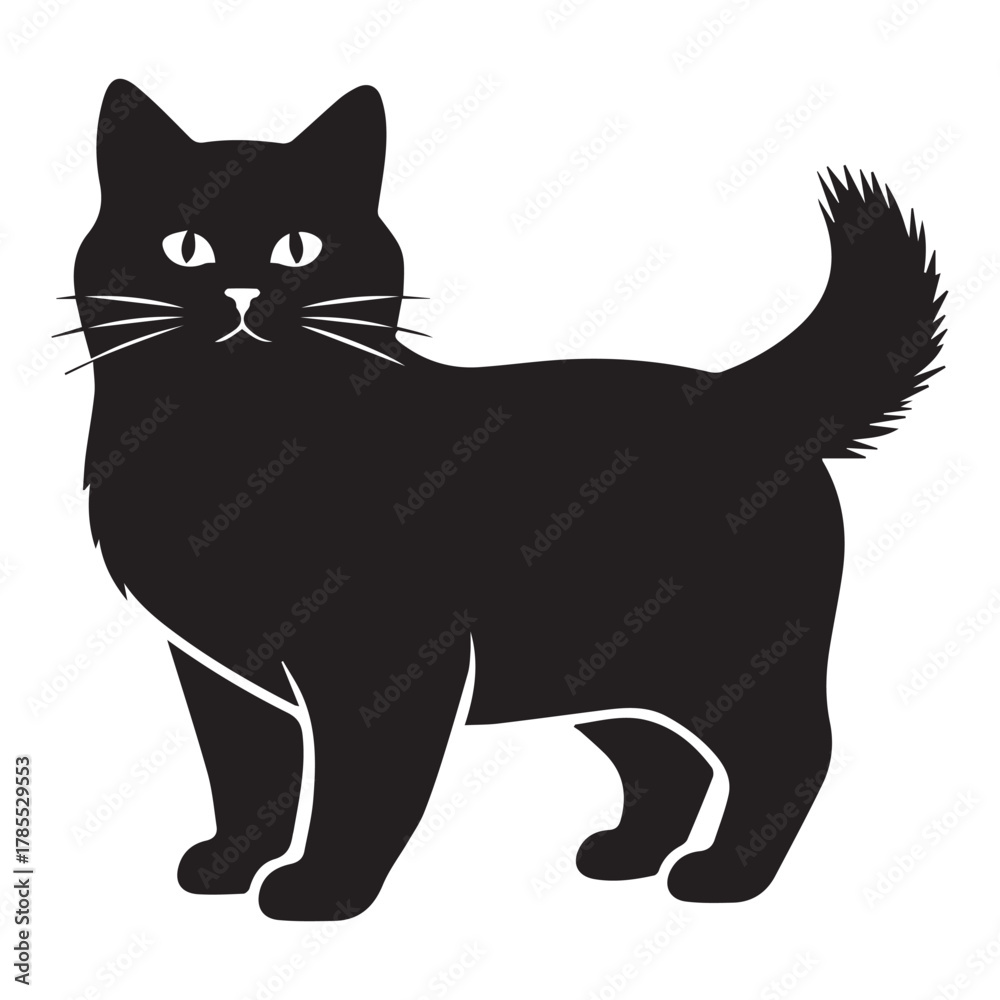 Fototapeta premium Fluffy Black Cat Silhouette Standing animal