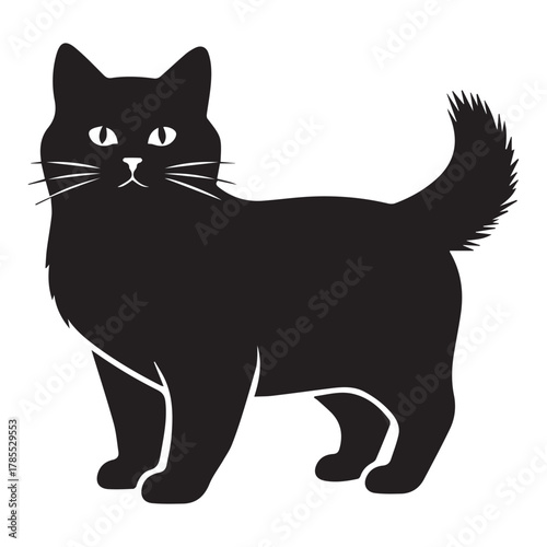 Fluffy Black Cat Silhouette Standing animal