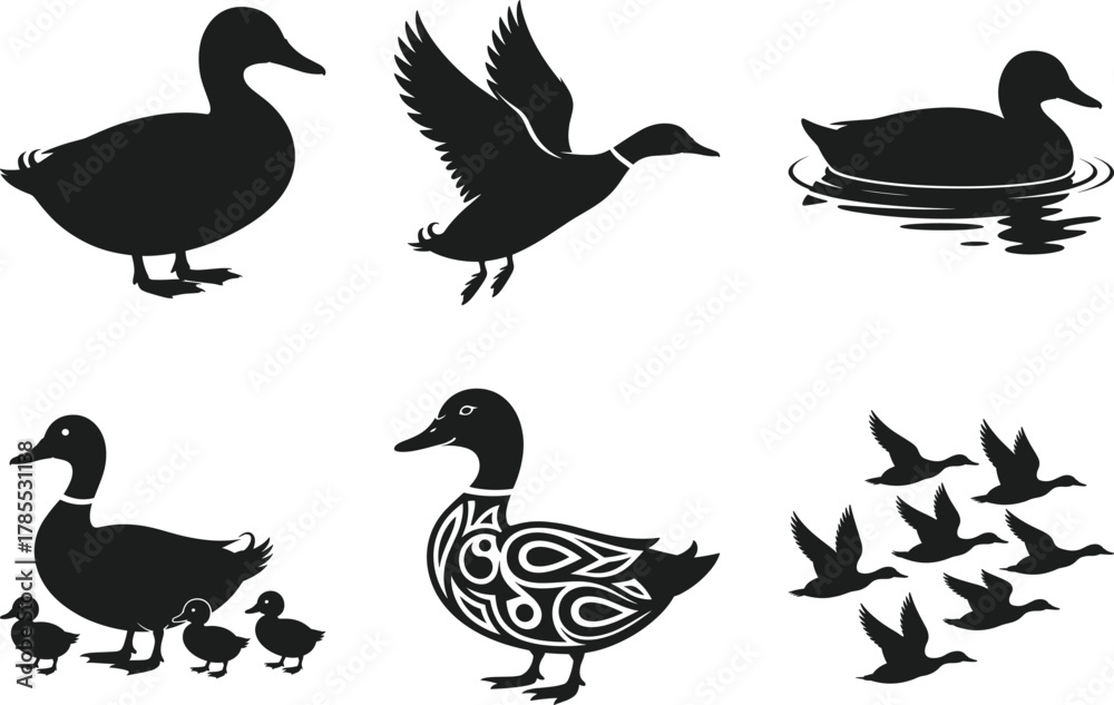 Obraz premium Duck Silhouette Vector Set – Flying, Swimming, and Family Duck Illustrations