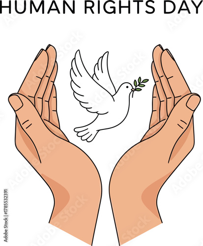 Human Rights Day illustration with hands releasing dove