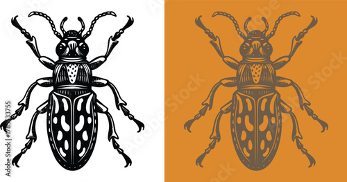 Detailed beetle illustration for nature enthusiasts or vintage design projects, featuring intricate linework and contrasting backgrounds perfect for graphic design