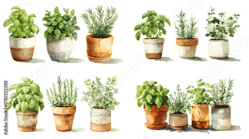 Watercolor illustration of fresh potted herbs in rustic terracotta containers, perfect for kitchen garden, cooking, and organic food themes.