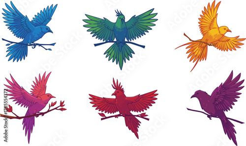 Colorful tropical birds collection, exotic flying bird illustration set, vibrant parrot and songbird vector design for nature and wildlife art