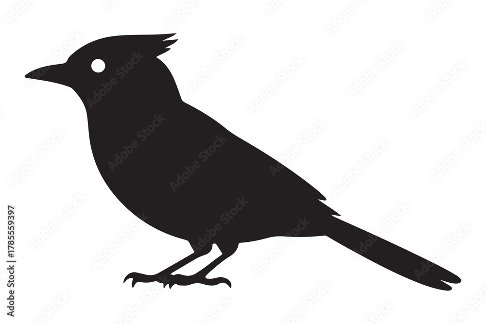 Obraz premium Stylized black silhouette of a crested bird standing on white background silhouette