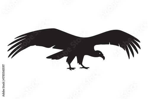  Majestic vulture with outstretched wings in a striking black silhouette