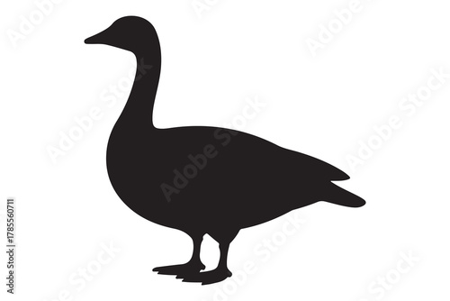  A striking black silhouette of a goose standing proudly against a white background silhouette