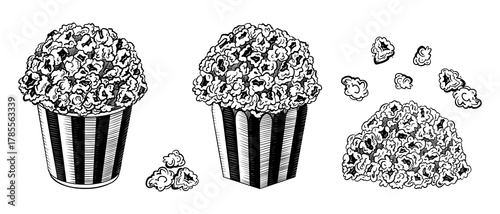Set of cinema popcorns in a box. Vector black ink isolated illustration in sketch line style