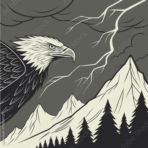 eagle vector illustration