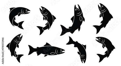 Dynamic salmon leaping and swimming various poses, black silhouette