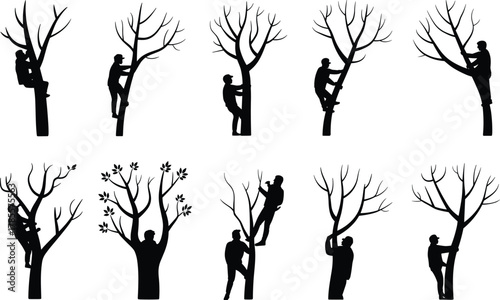 Tree climbers working on pruning and maintenance, arborists climbing trees in safety gear, black and white silhouette illustration