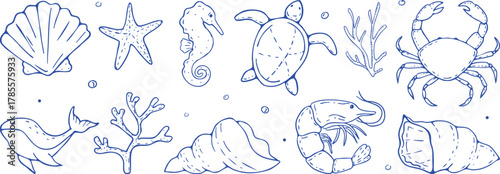 A hand drawn whimsical collection of marine elements featuring sea shells, starfish, crab, seahorse. Coastal life doodle set.