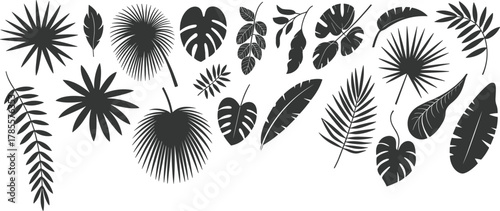 Tropical leaf silhouette set with palm, monstera, banana and exotic foliage, minimalist black botanical vector illustration on white background