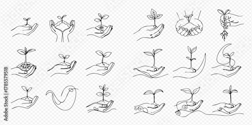 Minimalist line art set featuring hands gently cradling small plants and sprouts, illustrating concepts of new life, sustainability, and environmental care.