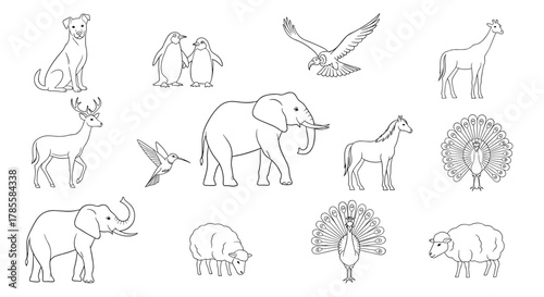 A collection of black and white outline illustrations of various animals including mammals and birds, suitable for coloring or graphic design.