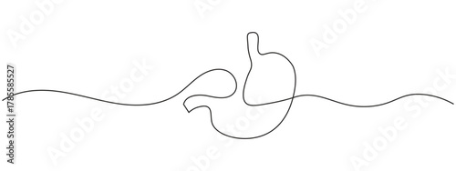 One line continuous drawing of stomach human organ icon vector. health, wellness, and medical symbol. vector illustration.