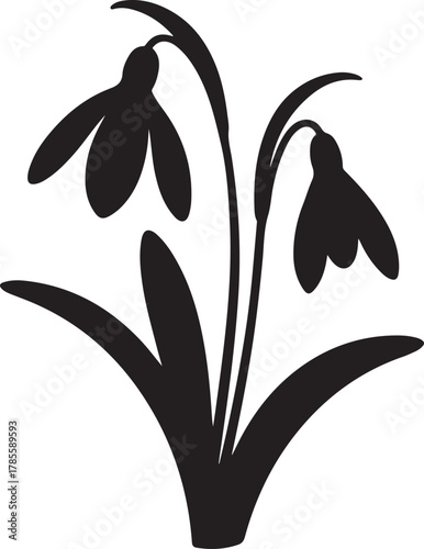 black silhouette of snowdrop flower on white background, vector