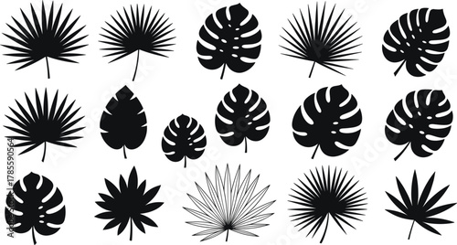Tropical leaf silhouettes, exotic foliage vector set, black botanical shapes, palm monstera agave leaves, nature design illustration, jungle plant art
