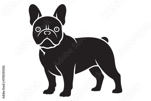  Black silhouette of a french bulldog standing alert with large ears