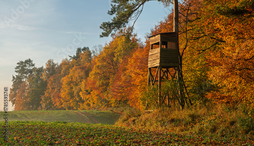 a hunting tower on the edge of an autumn forest on a beautiful, clear morning