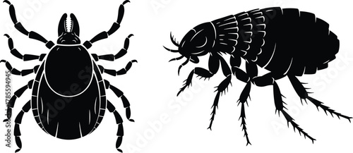 Tick, flea, parasite, insect, silhouette, vector, black, white, anatomy, disease, pest, ectoparasite, body, legs, segmented, arachnid, jumping, biting, medical, illustration