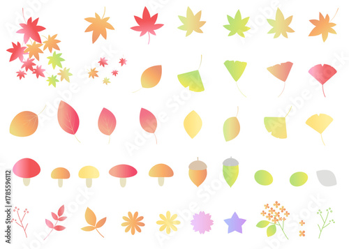 秋をイメージしたイラストセット　アイコン　紅葉　青もみじ　イチョウ　葉っぱ