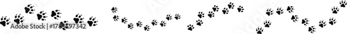 Paw vector foot trail print featuring cat, dog, and puppy silhouettes in diagonal tracks, ideal for t-shirts, backgrounds, patterns, websites, showcases, greeting cards, children's prints, and more.