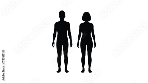 Male and Female Body Silhouettes Vector Illustration
