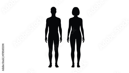 Male and Female Full Body Silhouettes Vector Illustration on White Background