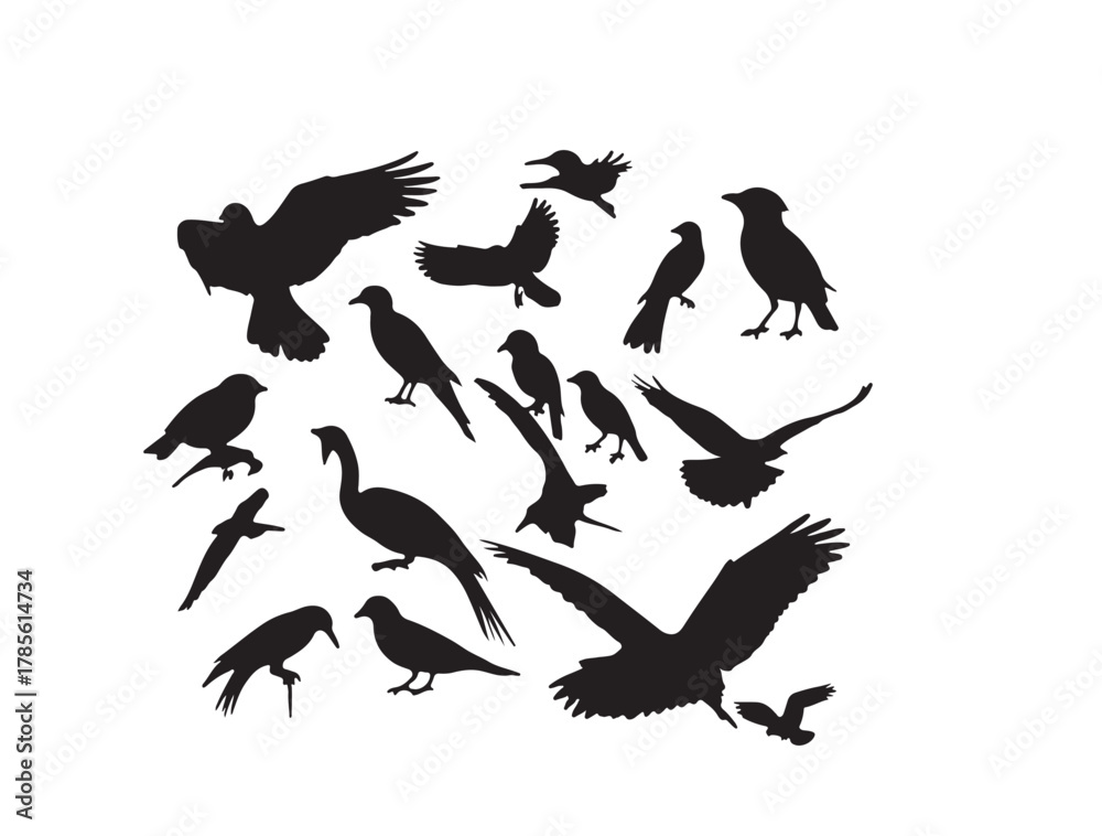 Obraz premium Birds in silhouette image white background.