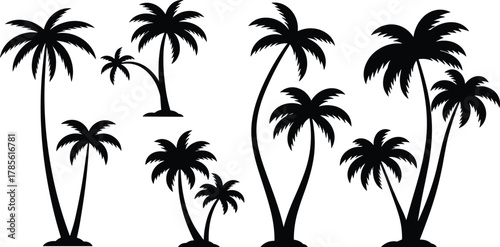 Tropical palm tree vector silhouettes, black outline designs with multiple variations, summer vacation nature illustration for travel, resort, beach, holiday themes