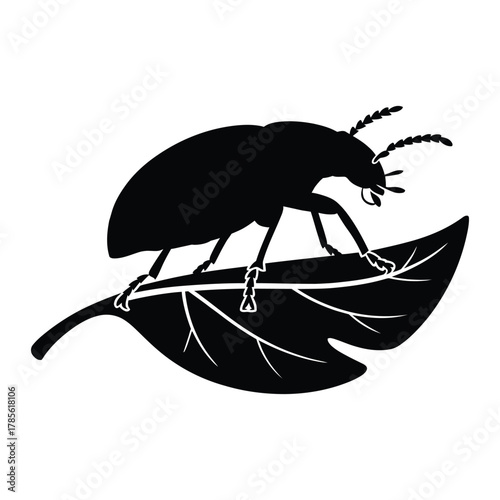 Beetle crawling on a leaf Silhouette, Vector, Illustration