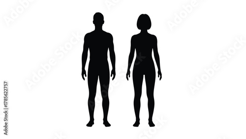 Full Body Silhouettes of Man and Woman Standing - Front View Human Anatomy Illustration