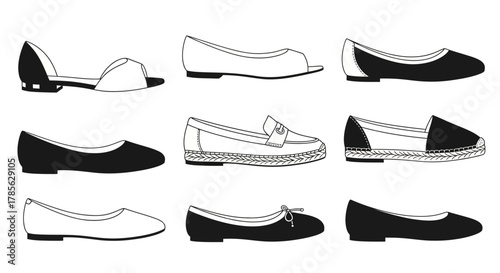 a variety of elegant shoes displayed in neat rows, isolated on white background 