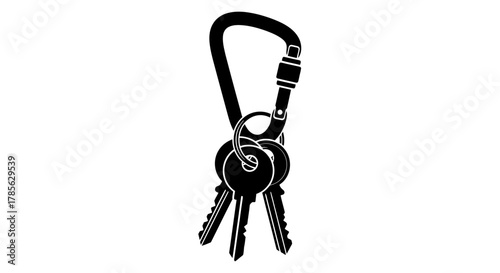 a sleek black carabiner attached to two shiny metal keys, isolated on white background 