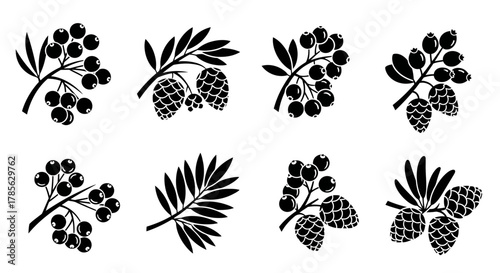 various plants and cones depicted in black and white illustrations, isolated on white background 