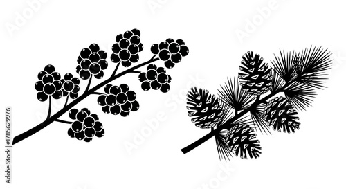a detailed illustration of berries and pine cones with leaves, isolated on white background 