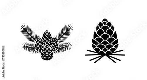 a detailed illustration of two pinecones one with needles attached, isolated on white background 