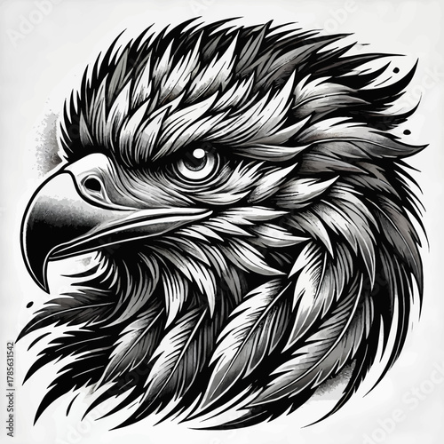 Ilustrasi Detail Kepala Elang/Rajawali Hitam Putih dengan Bulu-Bulu Garang