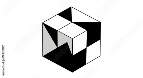 Intricate isometric cube design with black and white geometric patterns for abstract concepts
