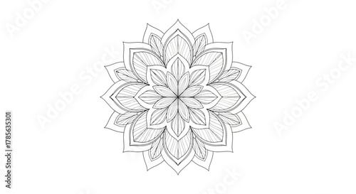 Elegant floral mandala with intricate details for artistic design projects