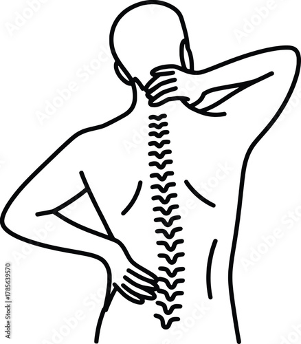 Human spine anatomy back view neck pain and lower backache illustration