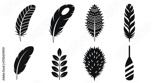 Vector illustration of feathers leaves and other natural shapes