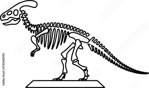 Dinosaur skeleton parasaurolophus ancient reptile prehistoric fossil anatomy