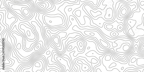 Topographic map background with geographic grid for hiking and mountain sport. luxury topographic wavy pattern and geographic grid map design. paper texture Imitation of a geographical map shades.