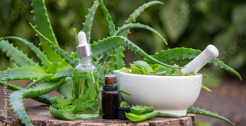 Aloe Vera Home Remedy: Preparation of medicine with leaves in a mortar and essential oil.