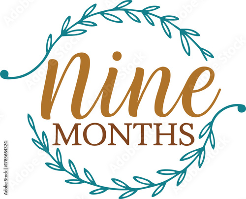  baby monthly milestone svg, baby milestone bundle, baby month svg, monthly baby svg, baby stats svg, baby growth svg, baby age svg, baby memory svg,