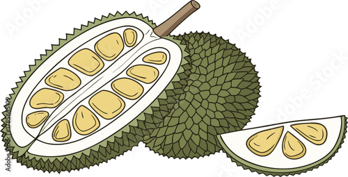 The jackfruit is a large tropical fruit with a spiky green outer skin and soft, golden-yellow edible pods inside. The pods are sweet and aromatic when ripe, with a flavor often compared to a mix of ba