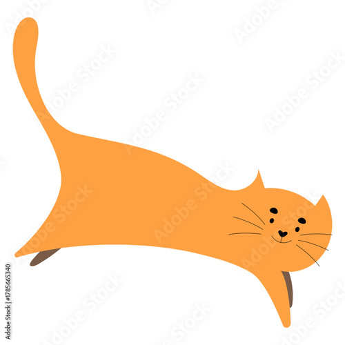 Hand Drawn Cat Illustration